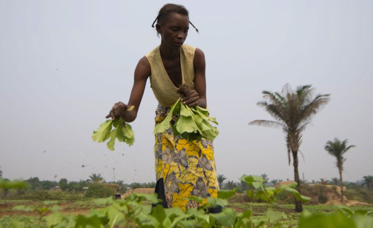 35.8 Million Face Lean Season Food Crisis in West Africa and Sahel