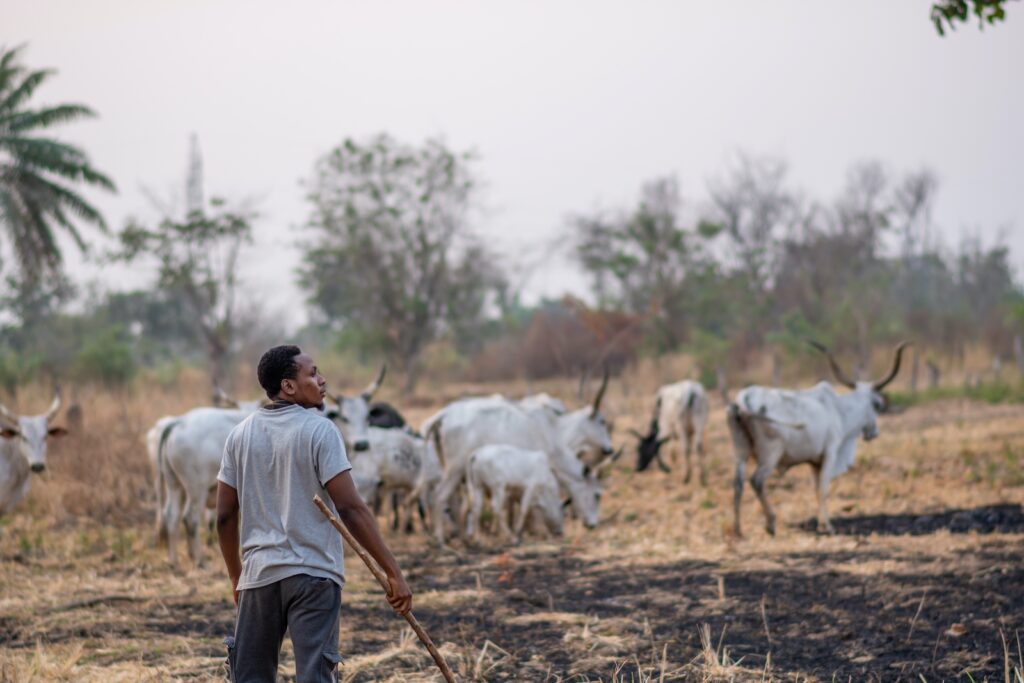 Nigeria Targets Agriculture to Boost Economy