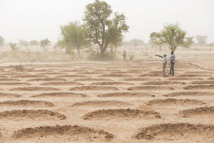 Bringing degraded African land back to life