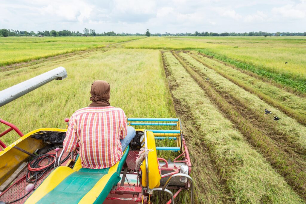 Nigeria Must Return to Agriculture for Economic Sustainability, Govt Insists