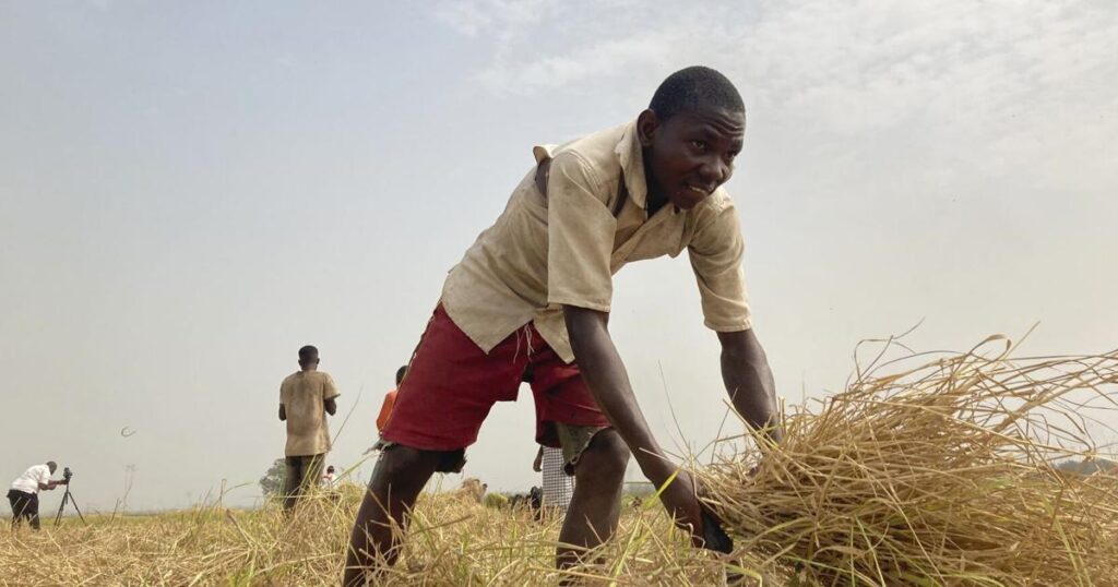 Hunger crisis looms in Nigeria amid conflict between farmers, herders