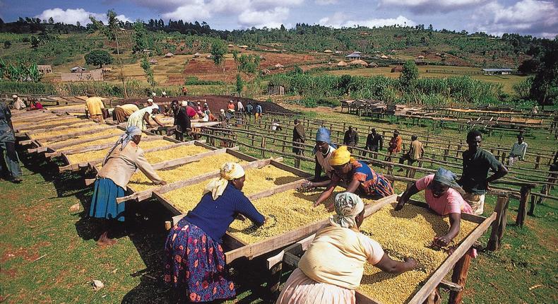 Kenya is in talks with the World Bank for a $200 million agriculture loan