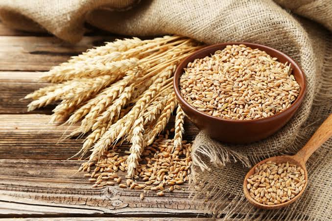 Nigeria: 150,000 Wheat Farmers in 15 Northern States to Benefit From Fman’s Yield Support