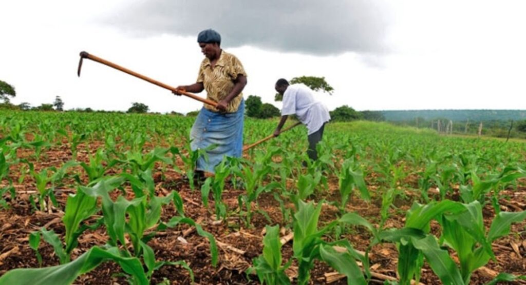 Stakeholders express optimism over improved agricultural financing