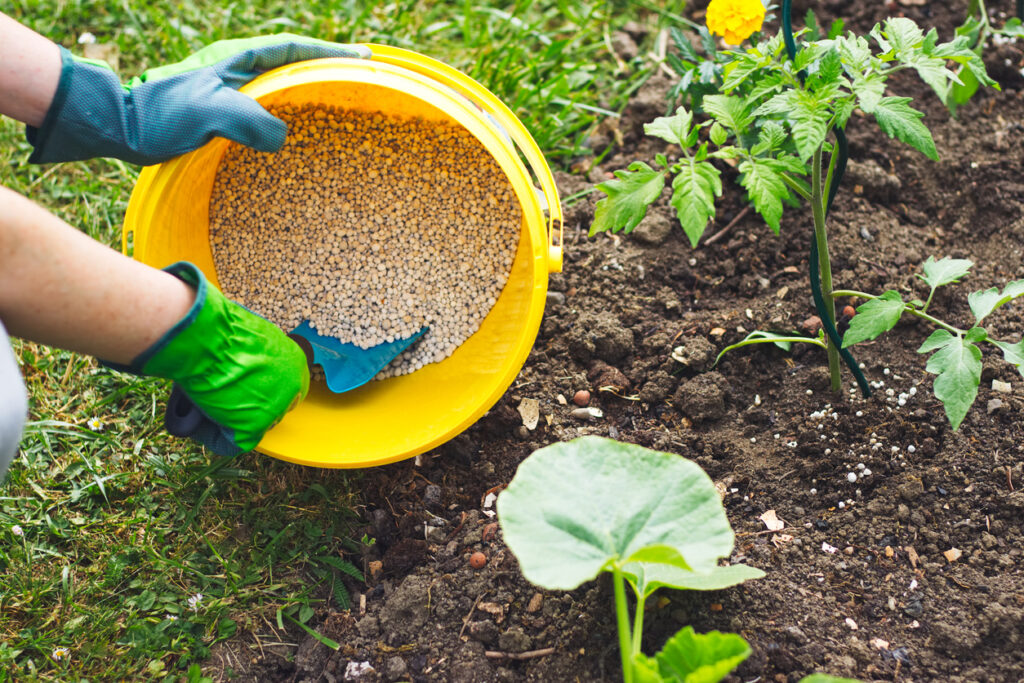 Africa Fertilizer Financing Mechanism