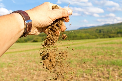 Ghana: Israel to Help Ghana Improve Soil Fertility