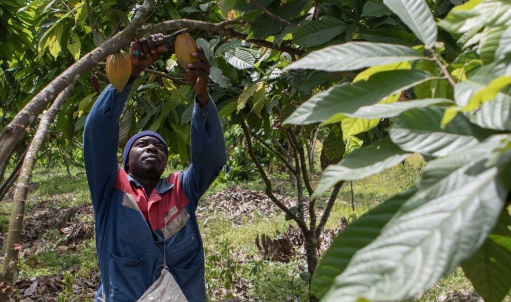 Niger: African Development Bank Group approves $127 million package to open up eastern agricultural areas