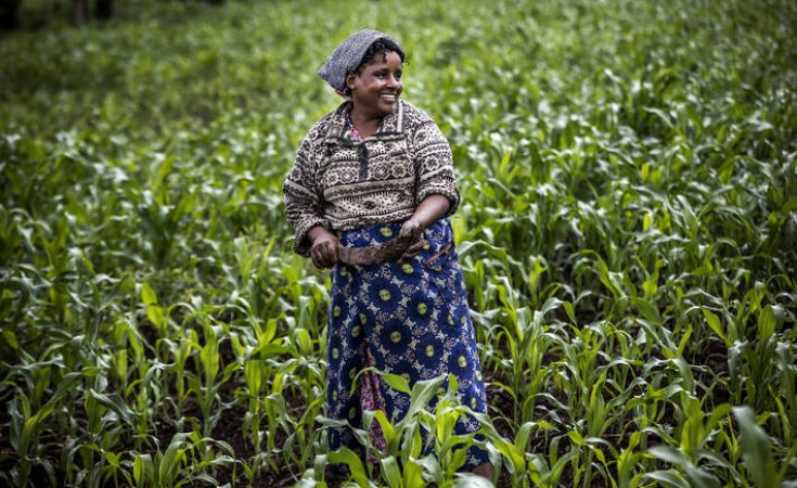 Africa’s New Harvest – to Transform Agriculture, We Must Speed Up Innovations and Collaboration