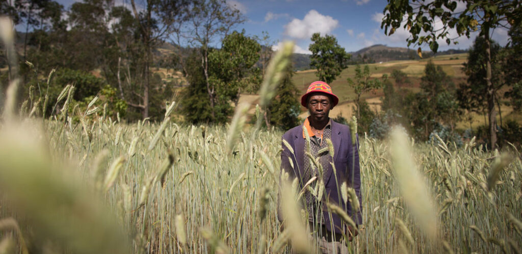 Nigeria: Agriculture Experts Call for Funding of Research Institutes, Enabling Environment