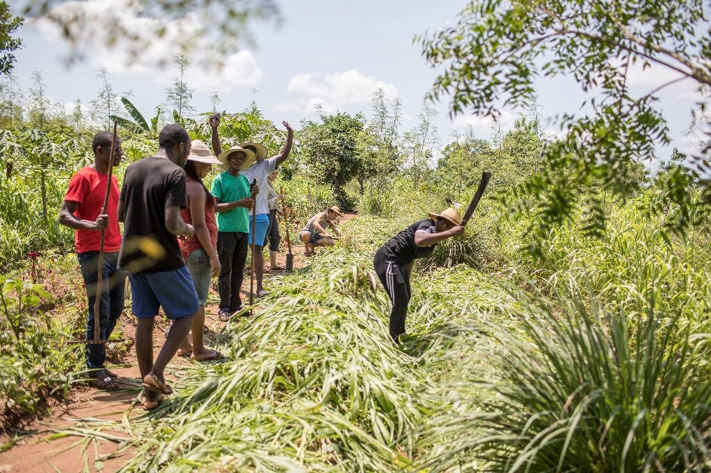 Green entrepreneurs learn sustainable farming at West African ‘boot camp