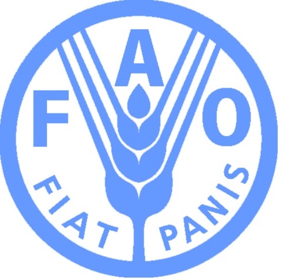 FAO adds voice to calls for an end to child labour in agriculture