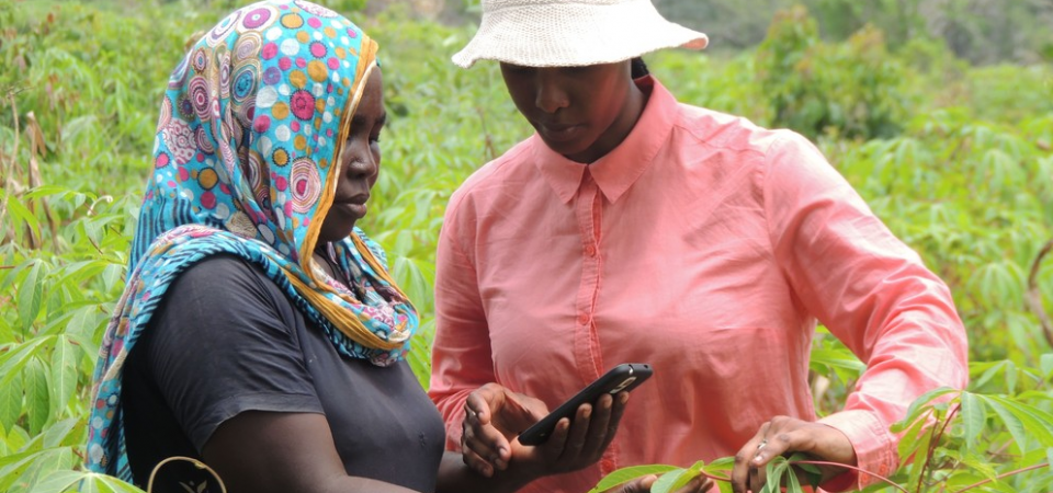 Women Farmers In Nigeria Seek Seperate Budget For Their Farming Needs