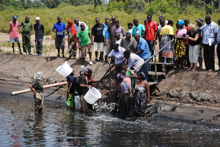 Ghana Must Not Look Outside for Dredging Works – President