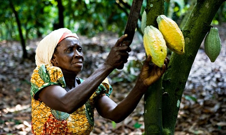 Ghana: Yara Commends 17 Physically Challenged Women Farmers