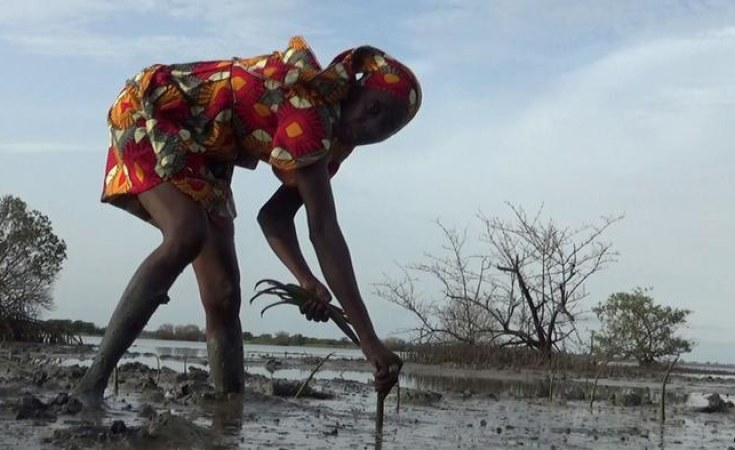 Africa’s Great Green Wall