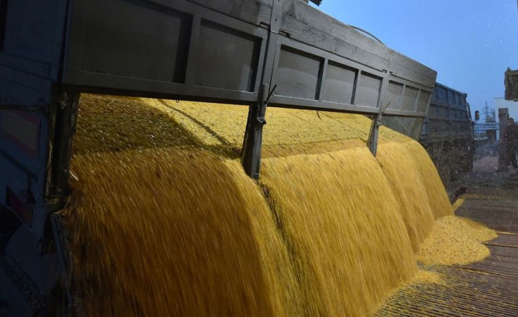 Guterres Hails ‘Critical Step Forward’ on Resuming Ukraine Grain Exports