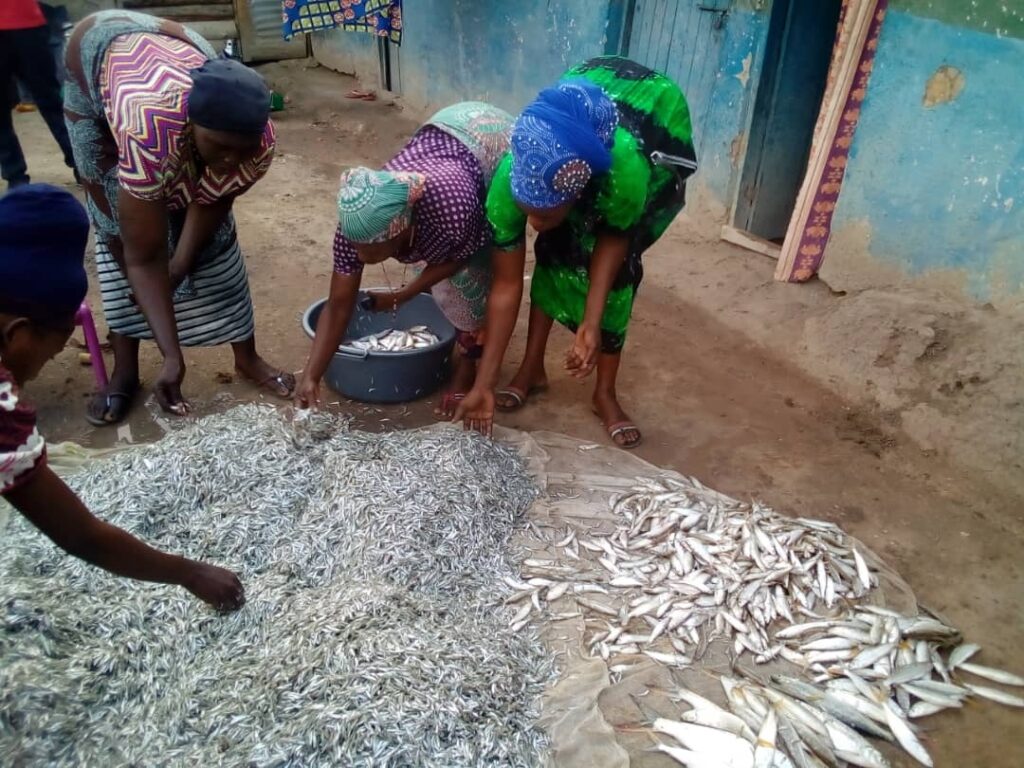 Fish project tackles malnutrition and boost incomes in Uganda