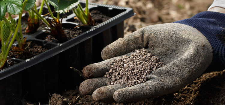 Nigerian Government Distributes Fertilizer To Farmers In Kogi State