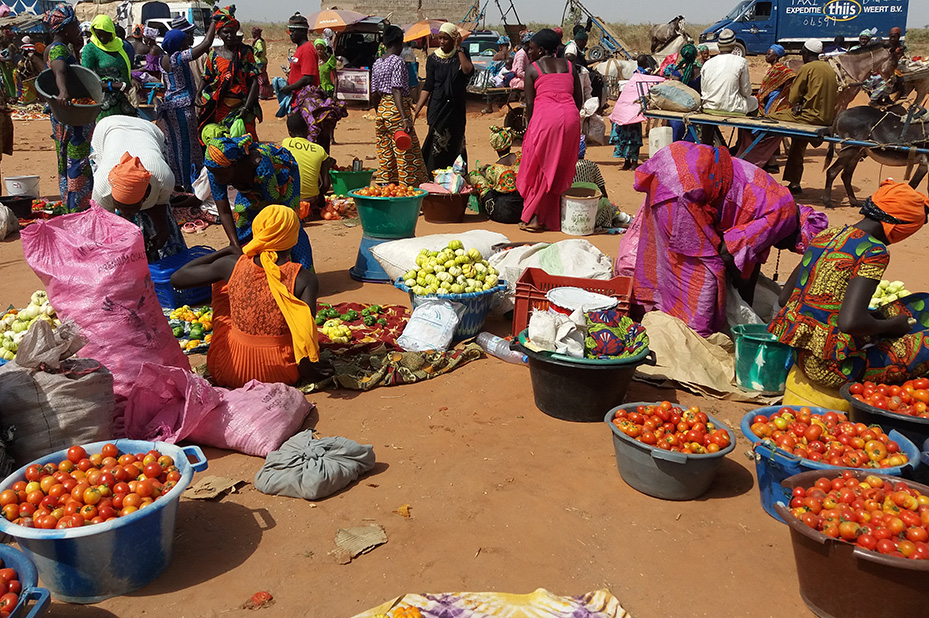 Gambia: The Problem of Food Security