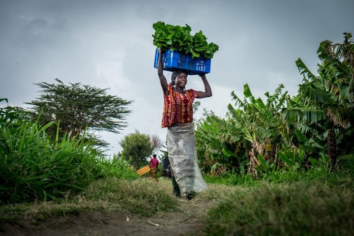 Promote agriculture so that more women are landholders and not labourers