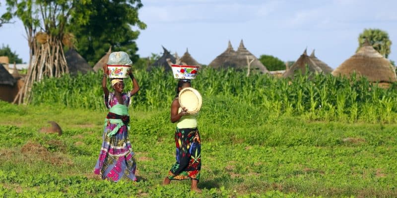 AFRICA: Agriter II project to boost sustainable agriculture in three