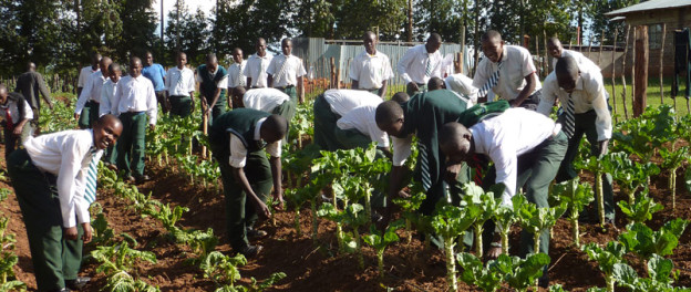 Nigeria: Yeasa Targets Active Youth Participation in Agriculture