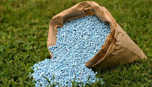 Soaring price of fertilizer, stakeholders call for subsidy