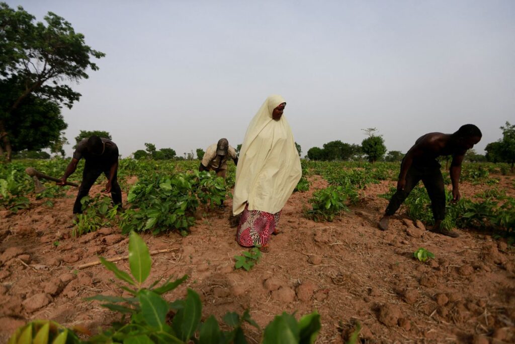 56% of Nigeria’s Agricultural Land Not in Use, Says Minister  FacebookTwitterWhatsAppFlipboardLinkedInRedditEmail