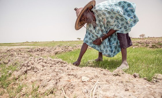 Hunger Grips Lake Chad Basin in the Face of Terrorism