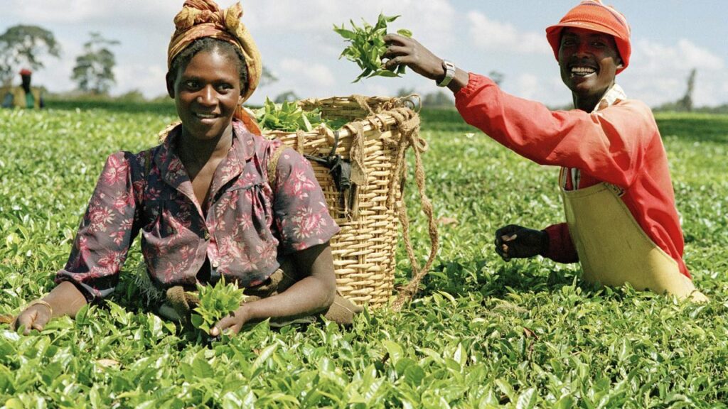 Nigerian Government Trains 50 Workers To Enhance Crop Production