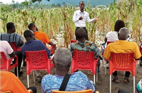 Ghana: 600 Farmers At Nsuta to Benefit From Maize Processing Facility