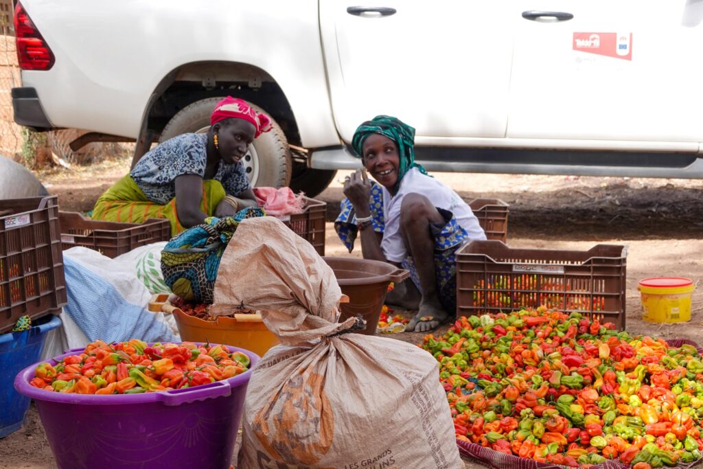 Gambia: Women Farmers in NBR Call for Support