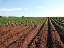 Water Retention Technology Improves Crop Growth in Africa