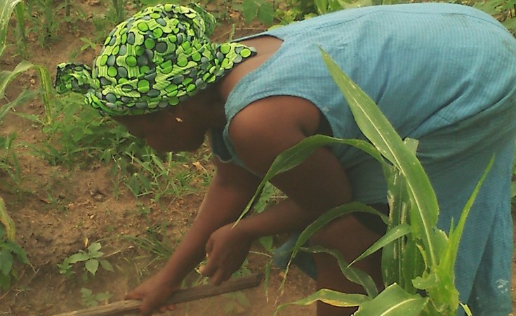 Nigeria: How Deep-Seated Sexism Is Making Food Insecurity Worse in Nigeria