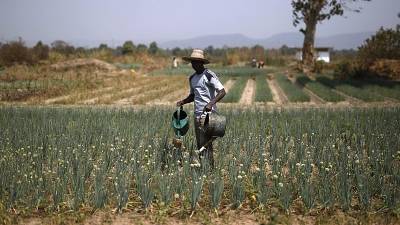 Challenges of farmers under the spotlight at COP 27