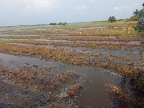 Ghana: Sandbar Blockage of Anlo-Anyanui Channel – Agriculture Activities At Standstill, Farmers’ Livelihoods Destroyed