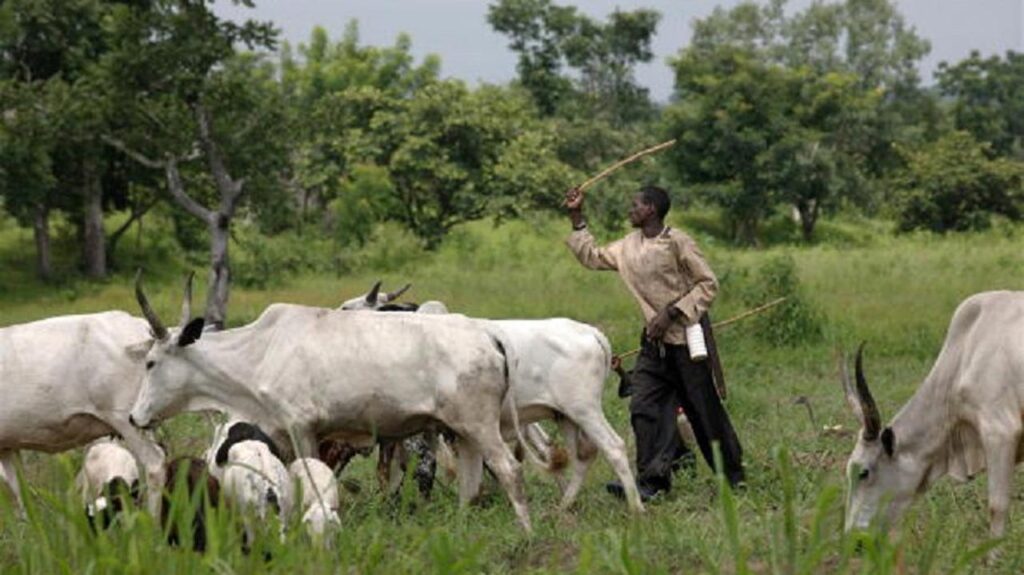 Nigeria: Despite Anti-Grazing Law, Ondo Communities Allege Invasion By Cattle Herders