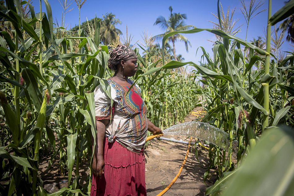 Ghana: Scientists, Researchers Discuss New Solutions to Food System Challenges