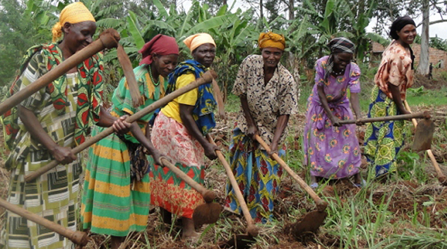 Gambia: URR Women Urge Barrow to Boost Productive Capacity