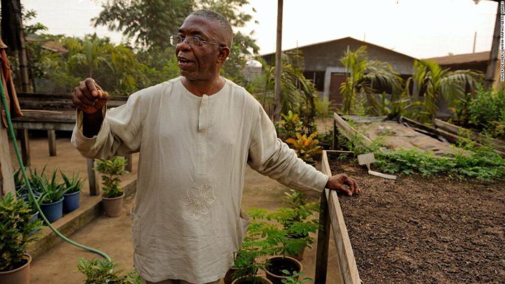 Agriculture Forms Part of Benin’s Development Plan