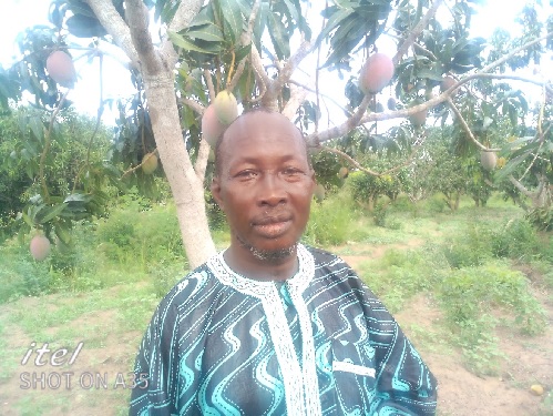 Ghana: Domeabra Zongo Chief Urges Youth to Go Into Agriculture