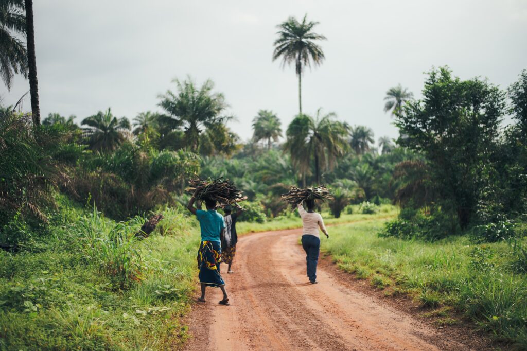 How to Maximise Nigeria’s Agricultural Productivity