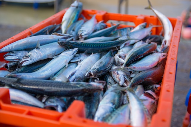 Rwanda: Govt to Invest €15 Million to Boost Fish Farming