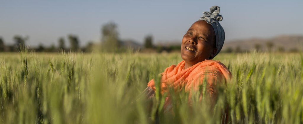 Second international summit on food production in Africa to open in Dakar