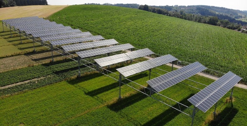 Agrivoltaics: more sustainability and cost efficiency for agriculture