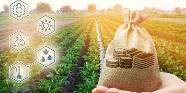 Nine agribusiness ideas to consider in Africa in 2023