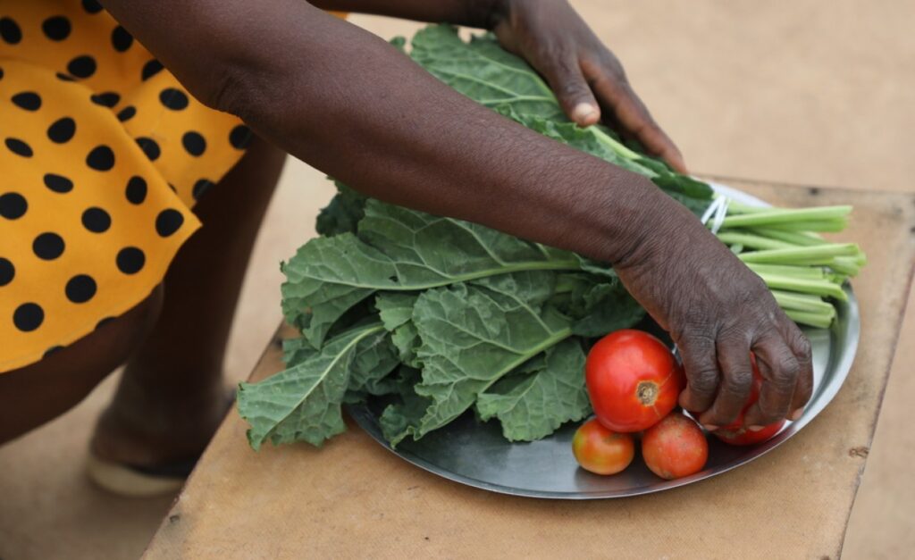 Niger Is Africa’s Fastest Growing Country – How to Feed 25 Million More People in 30 Years