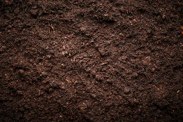 Food and Agriculture Organization publishes its first Global Assessment of Soil Carbon in Grasslands