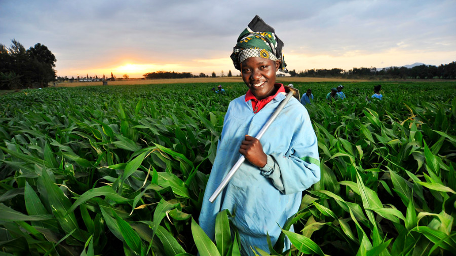 A new India-Africa cooperation ushering in an era of sustainable agriculture on the continent