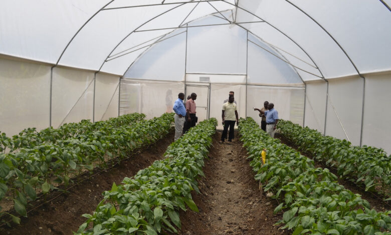 Project to Unlock Horticulture’s Potential